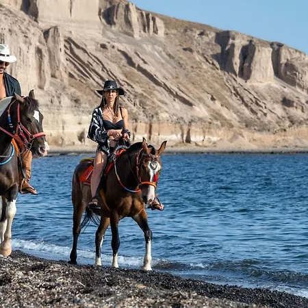 I K I A Since 1980 By Calm Collection Villa Fíra