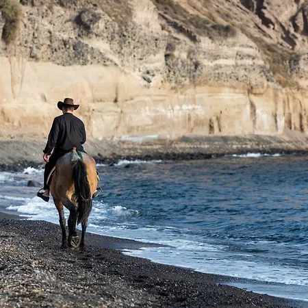 Villa I K I A Since 1980 By Calm Collection