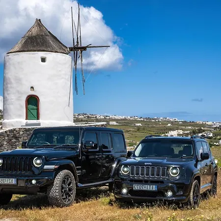 I K I A Since 1980 By Calm Collection