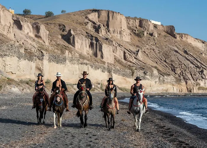 I K I A Since 1980 By Calm Collection *