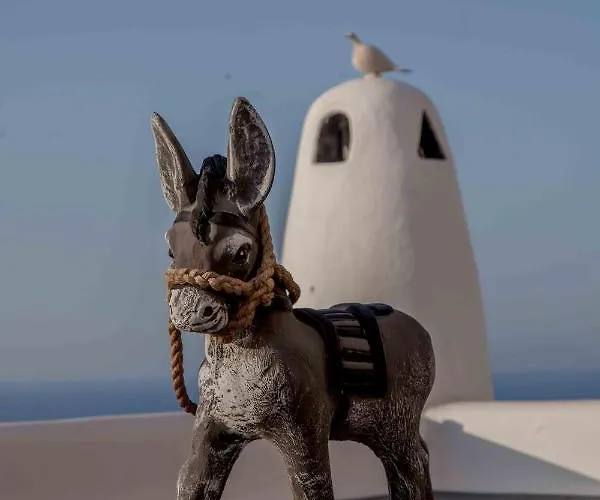 I K I A Since 1980 By Calm Collection * Firá