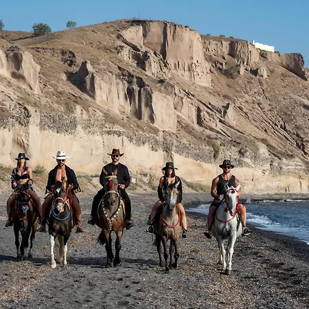 I K I A Since 1980 By Calm Collection *